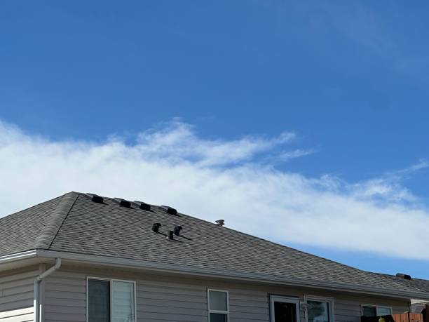 Best Roof Coating and Sealing  in Millersport, OH